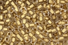 #17 - 10g MATUBO Seed Beads 6/o Crystal - Crystal Gold Copper-Lined