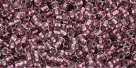 10 g TOHO Seed Beads 11/0 TR-11-1015 - Inside-Color Crystal/Blish Lined (E)