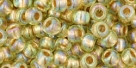 10 g TOHO Seed Beads 6/0  TR-06-0998