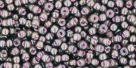 10 g TOHO Seed Beads 11/0 TR-11-0367 - Inside-Color Lustered Black Diamond/Pink-Lined (E,F)