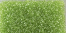 5g TOHO SeedBeads 15/0 TR-15-0105 - Tr. Luster Lime