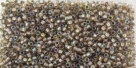 5g TOHO SeedBeads 15/0 TR-15-0281 - Inside Color Rainbow Lt Amber-Olive Lined