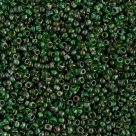 10 Gramm Miyuki Seed Beads 11-4507 Tr. Green Picasso
