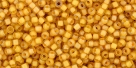 10 g TOHO Seed Beads 11/0 TR-11-0950 F - Inside-Color Frosted Jonquil/Burnt Orange-Lined (E)