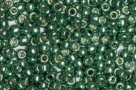 10 g TOHO Seed Beads 11/0 TR-11-PF589 - Permanent Finish - Galvanized Jade Green/Spruce (A,C,D)