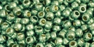 10 g TOHO Seed Beads 11/0 TR-11-PF570 - PermaFinish - Galvanized Mint Green (A,D,C)