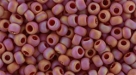 10 g TOHO SeedBeads 8/0 TR-08-0768