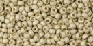 10 g TOHO Seed Beads 11/0 TR-11-PF558 F - Permanent Finish - Matte Galvanized Aluminum (A,C,D)