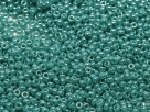 10 Gramm Miyuki Seed Beads 11-0435