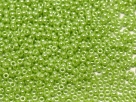 10 Gramm Miyuki Seed Beads 11-0439