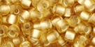 10 g TOHO Seed Beads 6/0  TR-06-0022 F