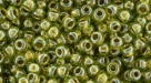 10 g TOHO SeedBeads 8/0 TR-08-0991