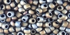 10 g TOHO SeedBeads 8/0 TR-08-0613