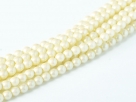 02010/30001 - 1 Strang Perlen Ø 2 mm rund - lace pearl shell