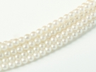 02010/30000 - 1 Strang Perlen Ø 2 mm rund - cloud pearl shell