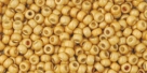 10 g TOHO Seed Beads 11/0 TR-11-PF557 F - Permanent Finish - Matte Galvanized Starlight (A,C,D)