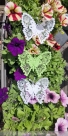 Stickdatei FSL - Schmetterling Vol. 4