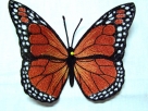 Stickdatei FSL - Schmetterling_Monarch - 148x104 mm