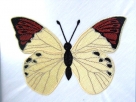 Stickdatei FSL - Schmetterling-gelber Aurorafalter - 60 x 42 mm