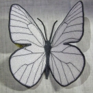 Stickdatei FSL - Schmetterling-Baumweißling - 146x124 mm