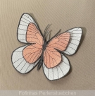 Stickdatei FSL - Schmetterling-Baumweißling - 146x124 mm