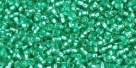 5g TOHO SeedBeads 15/0 TR-15-0024 B