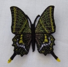 Stickdatei FSL - Schmetterling-Kaiser von Indien - Teinopalpus imperialis  --- ca. 60 mm
