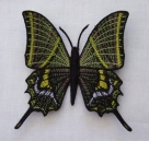 Stickdatei FSL - Schmetterling-Kaiser von Indien - Teinopalpus imperialis  --- ca. 100 mm