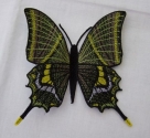 Stickdatei FSL - Schmetterling-Kaiser von Indien - Teinopalpus imperialis  --- ca. 120 mm