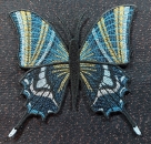 Stickdatei FSL - Schmetterling-Kaiser von Indien - Teinopalpus imperialis  --- ca. 140 mm