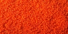 5g TOHO SeedBeads 15/0 TR-15-0050 AF - Opaque Frosted Bright Orange