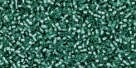 5g TOHO SeedBeads 15/0 TR-15-2202 Silver-Lined Prairie Green