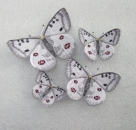 Stickdatei FSL Schmetterling Roter Apollofalter --- Design Pack