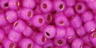 10 g TOHO Seed Beads 6/0  TR-06-2107