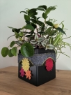 FSL - Eckelemente Daisy - Design Pack