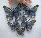 Stickdatei FSL & ITH - Schmetterling Limenitis Arthemis Arizonensis --- Design Pack