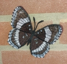 Stickdatei FSL - Schmetterling Limenitis Arthemis White Admiral --- ca. 140 mm