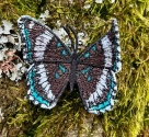 Stickdatei FSL - Schmetterling Limenitis Arthemis White Admiral --- ca. 80 mm