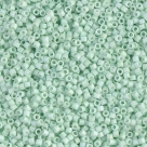 6g Miyuki Delica Beads DB-1526