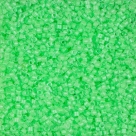 6g Miyuki Delica Beads DB-2040