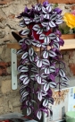 Embroidery file “FSL - 3D green plant TTradescantia_Purpusii” --- Design Pack