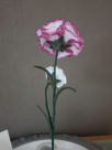 Embroidery file FSL - Carnation --- Design Pack