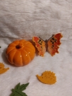 Embroidery file “FSL Butterfly C-Falter - Polygonia c-album” --- ca. 100 mm