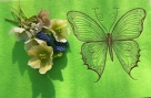 LineArt - Schmetterling --- SUPER-Set
