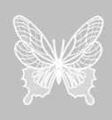 Stickdatei FSL - Schmetterling Vol. 8 - Stabdesign - Design Pack