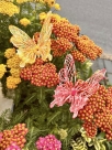 Stickdatei FSL - Schmetterling Vol. 8 - Stabdesign - Design Pack