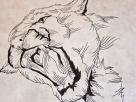 LineArt - Lion (240x240 mm) --- Set