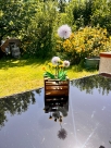Stickdatei FSL - 3D-Pusteblume --- Design Pack