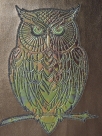 LineArt - Eule (150x200 und 200x260 mm) --- Set