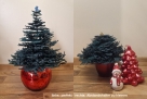 FSL 3D-Tannenbaum-2 - Design Pack